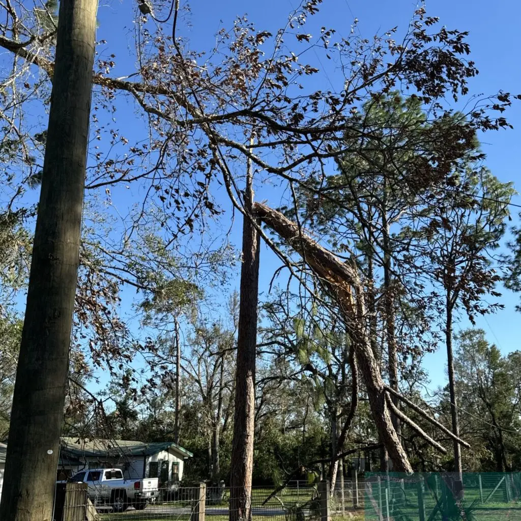 Hurricane damage in Florida