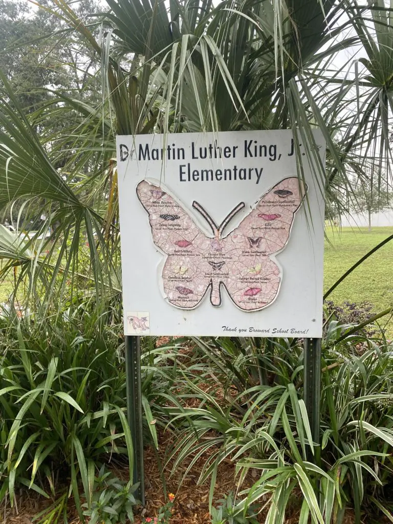 The butterfly garden at  Dr. Martin Luther King, Jr. Montessori Academy.