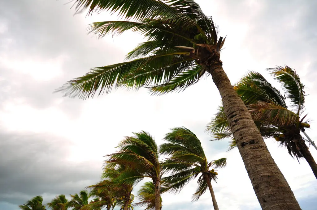 Stay connected during the 2025 hurricane season in Florida