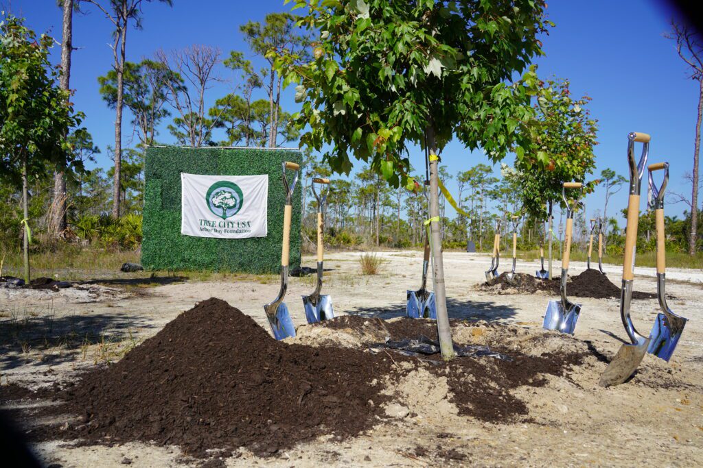 Shovels and trees