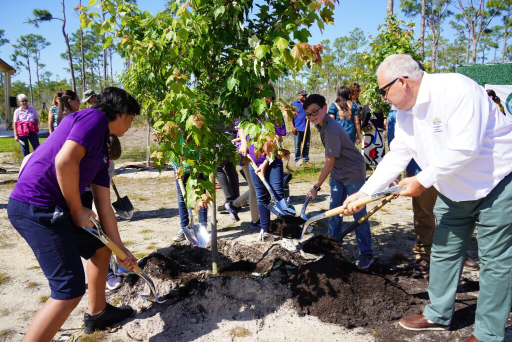 People planting a tree