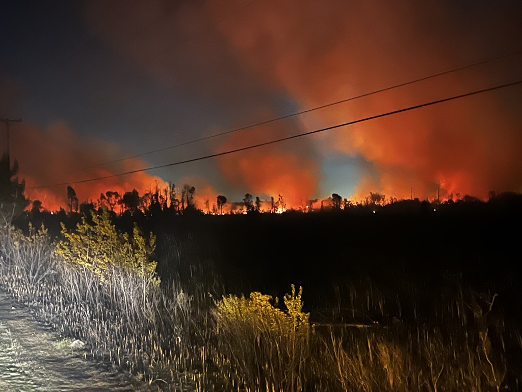 Brush fire