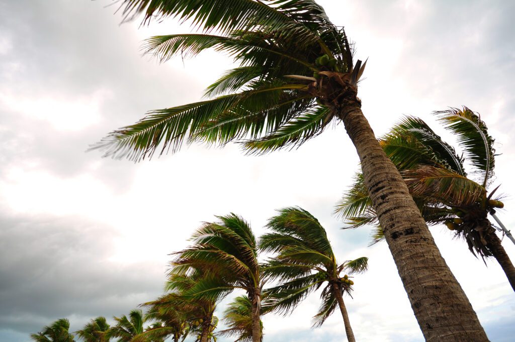 Stay connected during the 2025 hurricane season in Florida